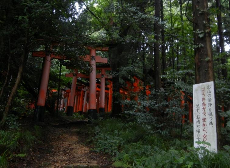 東山三十六峰南端の稲荷山 横断ハイク 京都 東山三十六峰越walk 2